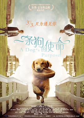 AV明星的广泛实习
